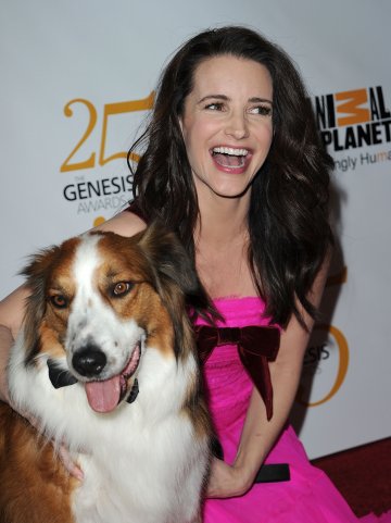 Снимка: GettyImages/ Guliver