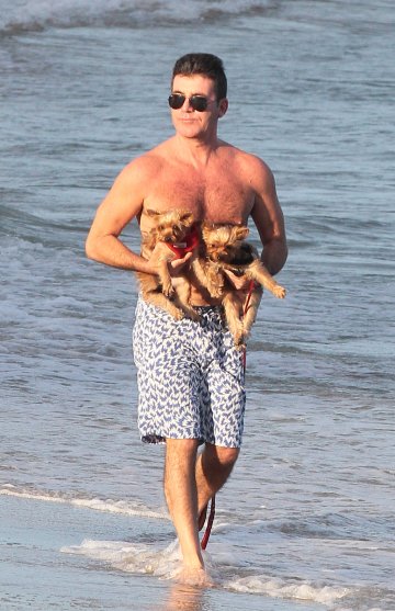 Саймън Коуел, Снимка: Splash news