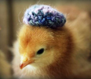 Снимка: JULIE PERSONS