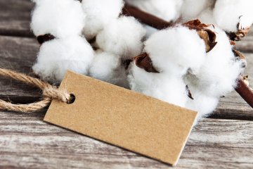 Снимка: Dreamstime