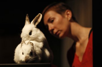 Снимка: Reuters