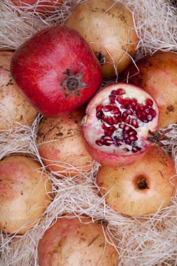 Снимка: Dreamstime