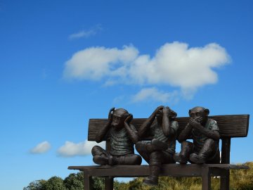 Снимка: Pexels