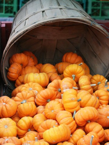 Снимка: Dreamstime