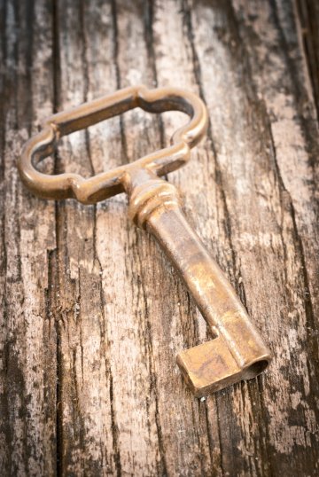 Снимка: Dreamstime