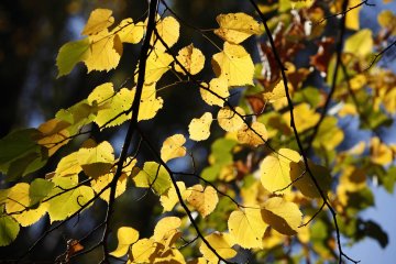 Снимка: Олег Попов, Tialoto.bg