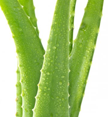 Снимка: Thinkstock