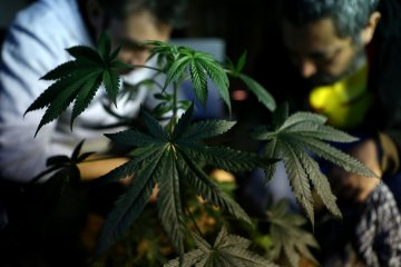 Снимка: Reuters