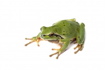 Снимка: Dreamstime