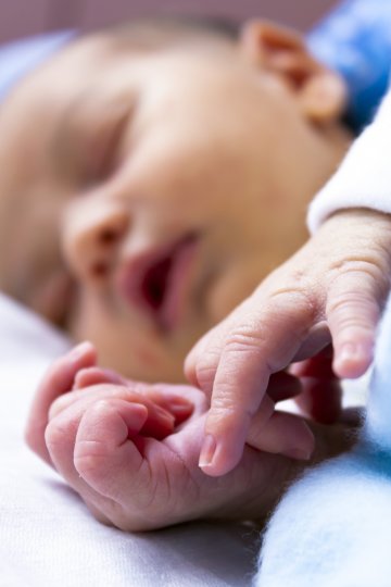 Снимка: Dreamstime