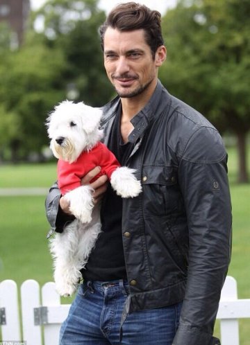 С подобна снимка със сигурност ще имате успех сред жените; Снимка: Tumblr/David Gandy