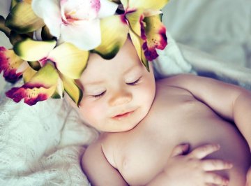 Снимка: Dreamstime