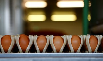 Снимка: Reuters