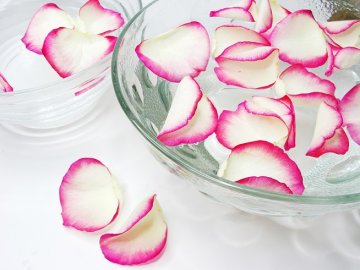 Снимка: Dreamstime