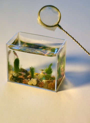 Снимка: epidemicfun