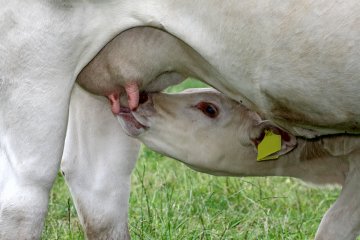 Снимка: Dreamstime