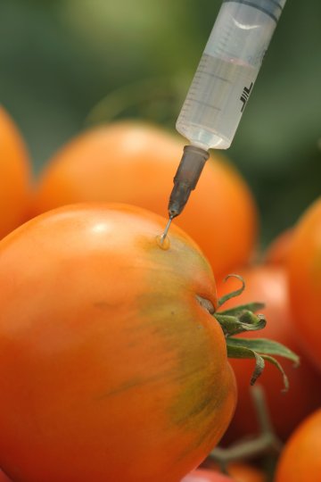 Снимка: Dreamstime