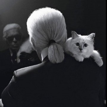 Източник: Instagram