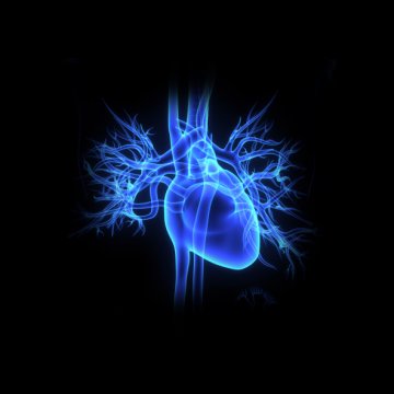 Снимка: Thinkstock