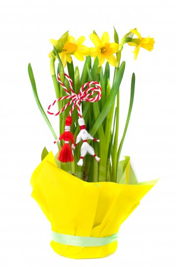 Снимка: Dreamstime