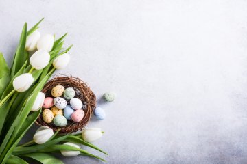 Снимка: Istockphoto