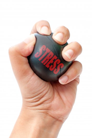 Снимка: Dreamstime