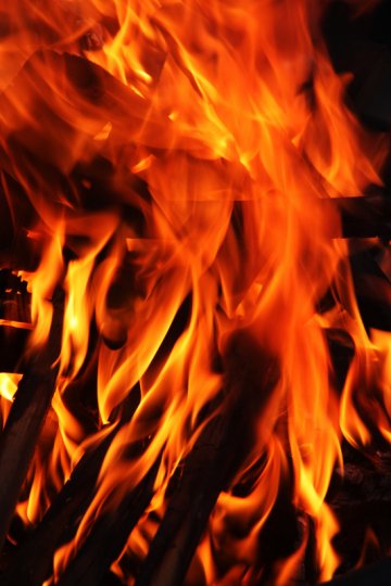 Снимка: Dreamstime