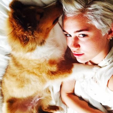 Снимка: Instagram