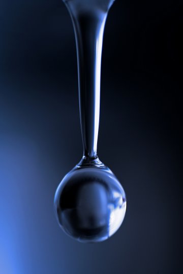 Снимка: Dreamstime