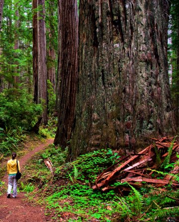 Снимка: Dreamstime