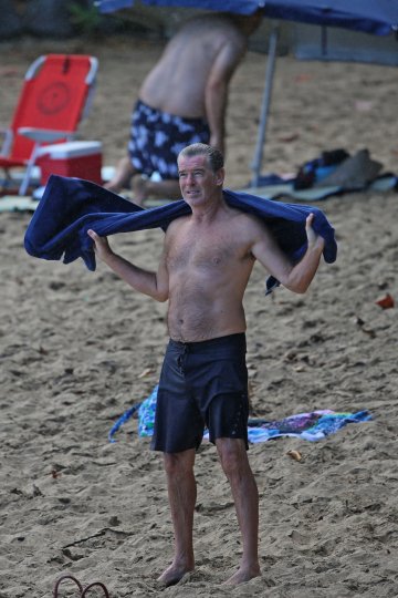 Пиърс Броснан; Снимка: Splash News