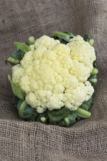 Снимка: Thinkstock