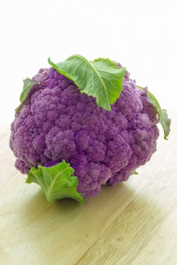 Снимка: Thinkstock