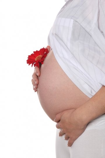 Снимка: Photl.com