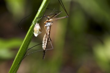Снимка: Dreamstime