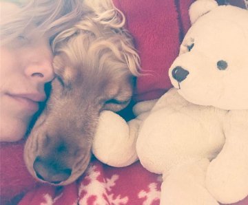 Снимка: Facebook