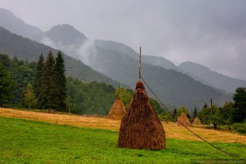 Снимка: Евгени Динев