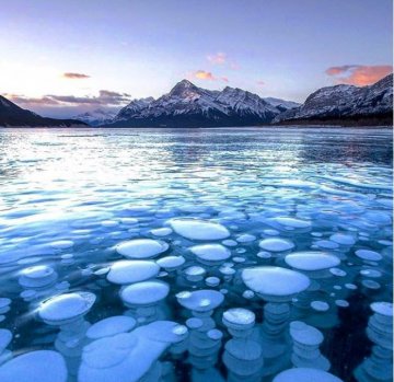 Снимка: Instagram