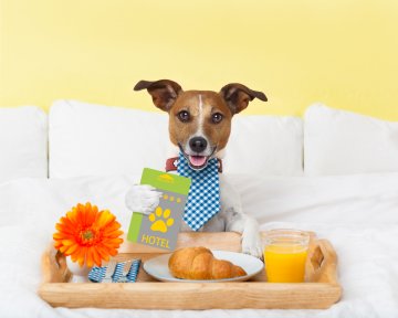 IStockphoto