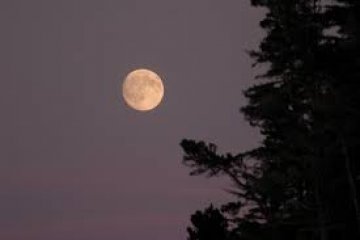 Снимка: oceansinitiative.org