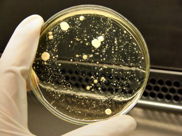 Снимка: Dreamstime