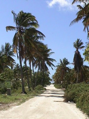 Снимка: Kirimati Island