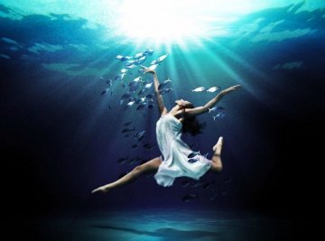 Снимка:Mark Mawson; markmawson.com