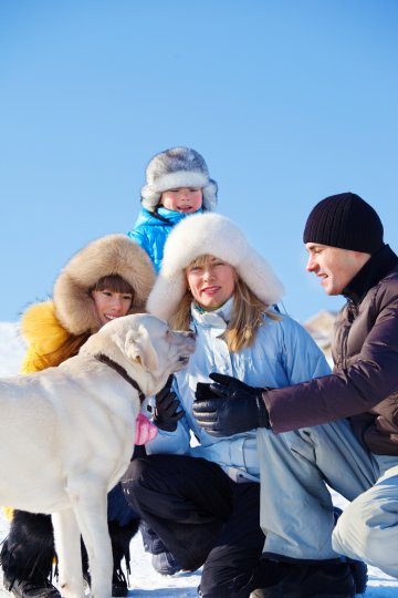 Снимка: Dreamstime