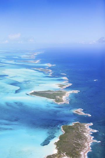 Снимка: Thinkstock