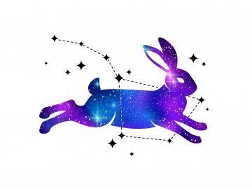 Снимка: IStockphoto