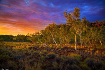 Снимка: Dan Proud/ Daily Mail