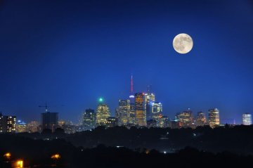 Снимка: Dreamstime