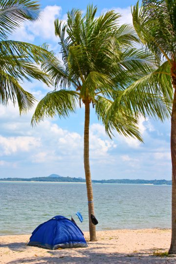 Снимка: Dreamstime