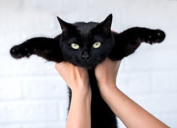 Източник: IStockphoto